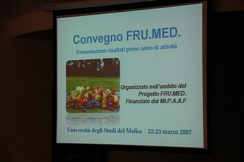 Progetto FRU.MED