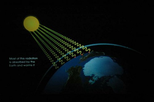 L'Universit� al cinema