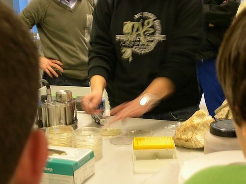 Esperienza di Laboratorio