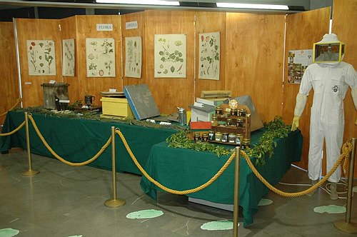 Visite guidate a laboratori