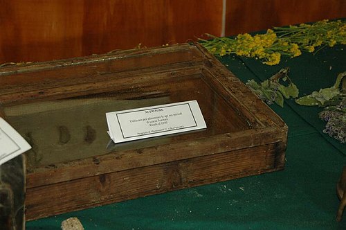 Visite guidate a laboratori