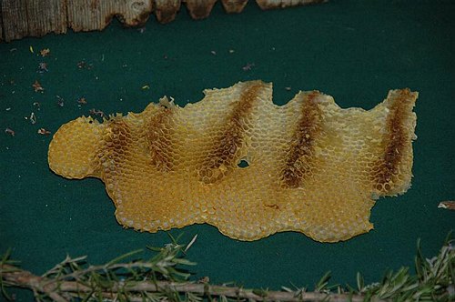 Visite guidate a laboratori