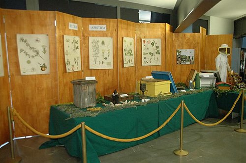 Visite guidate a laboratori