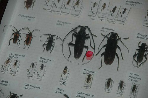 Visite guidate a laboratori