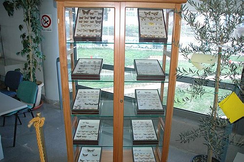 Visite guidate a laboratori