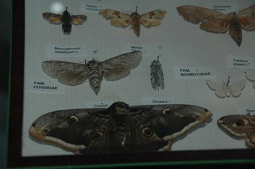 Visite guidate a laboratori