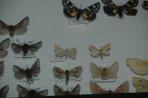 Visite guidate a laboratori