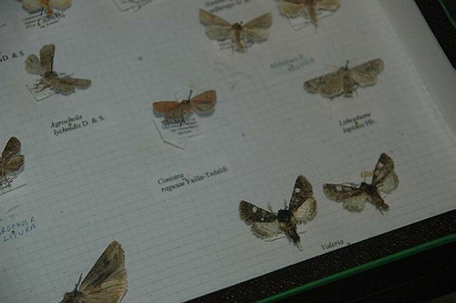 Visite guidate a laboratori