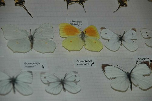 Visite guidate a laboratori