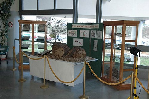 Visite guidate a laboratori