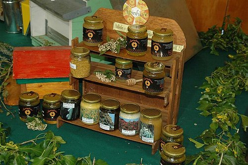 Visite guidate a laboratori