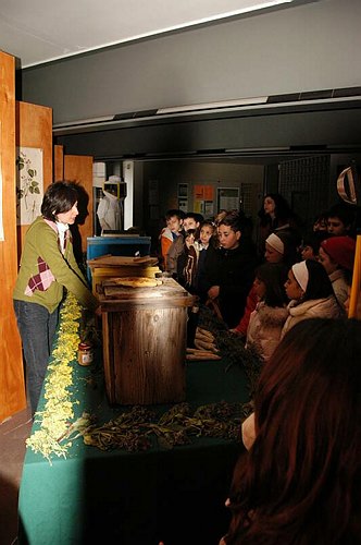 Visite guidate a laboratori