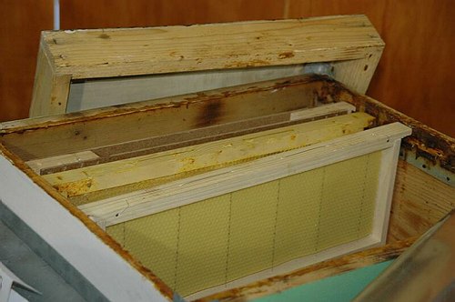 Visite guidate a laboratori