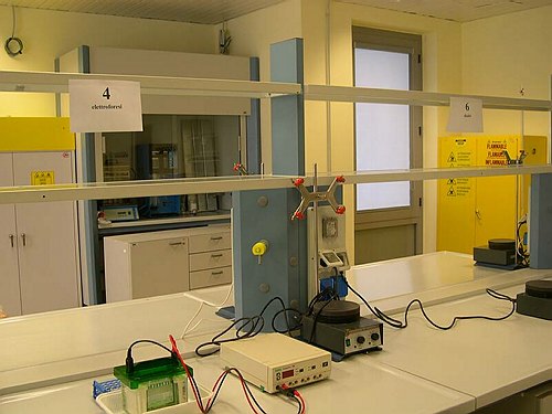 Le dive delle cellule, isoliamo le proteine.