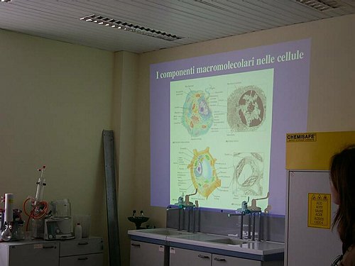 Le dive delle cellule, isoliamo le proteine.