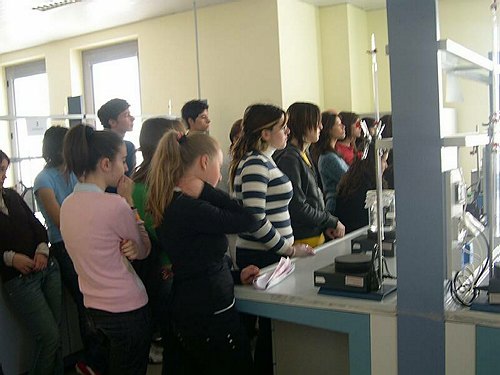 Le dive delle cellule, isoliamo le proteine.