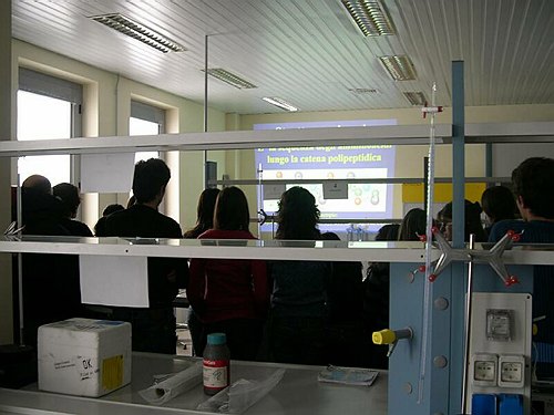 Le dive delle cellule, isoliamo le proteine.