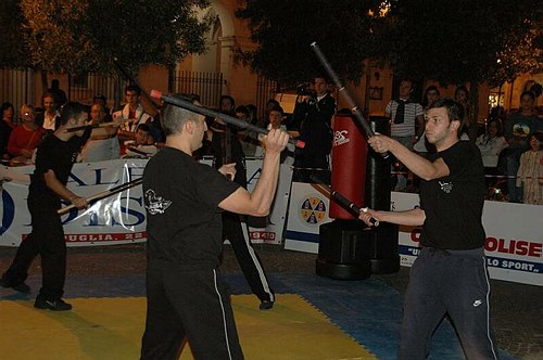 Unimol e CUS alla Notte Bianca a Campobasso