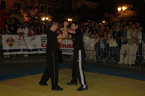 Unimol e CUS alla Notte Bianca a Campobasso