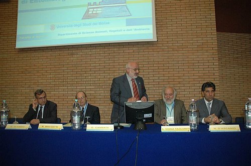 XXI Congresso Nazionale Italiano di Entomologia 