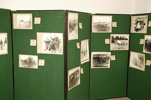 Giornata Mondiale delle Lingue Materne