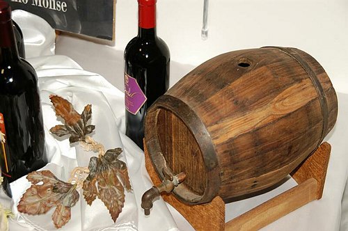 Giornata Mondiale delle Lingue Materne