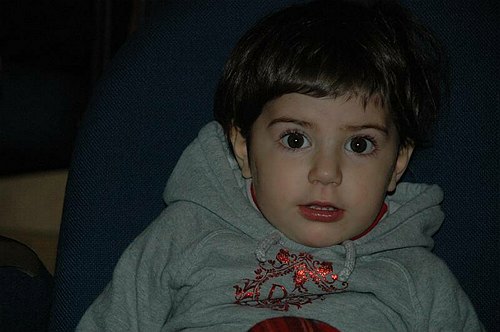 Auguri di Natale e di un Felice Anno Nuovo