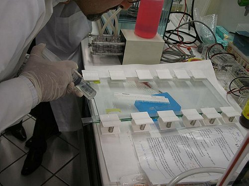 Programma INTERREG IIIA Transfrontaliero Adriatico