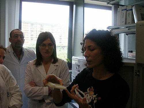 Programma INTERREG IIIA Transfrontaliero Adriatico