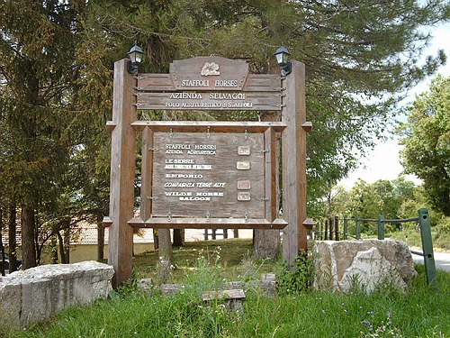 Visita didattica presso alcune localit� molisane.