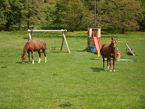 Visita didattica presso alcune localit� molisane.