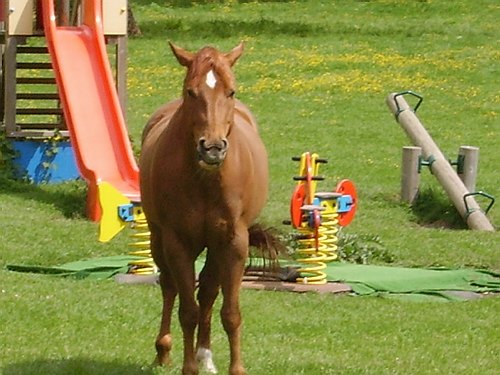 Visita didattica presso alcune localit� molisane.