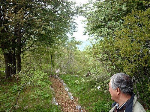 Visita didattica presso alcune localit� molisane.