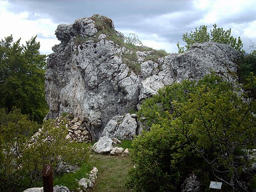 Visita didattica presso alcune localit� molisane.