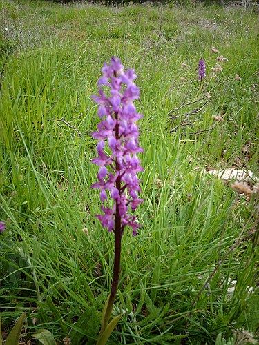 Visita didattica presso alcune localit� molisane.