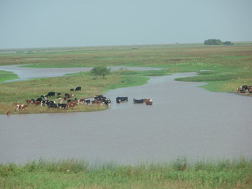 Master Internazionale Italo-Argentino