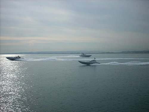 Universit� e Guardia di Finanza