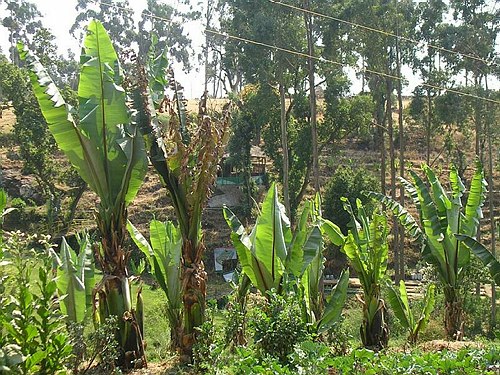 Missione Scientifico-Culturale ad Addis Abeba