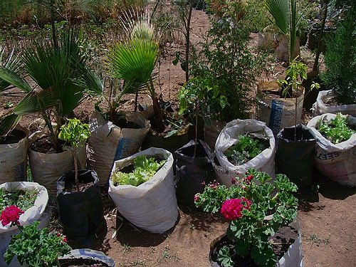 Missione Scientifico-Culturale ad Addis Abeba