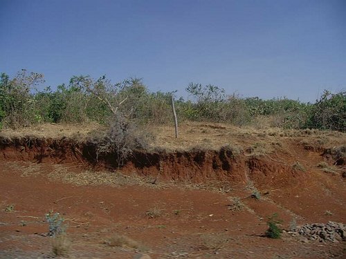 Missione Scientifico-Culturale ad Addis Abeba