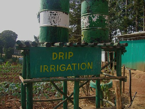 Missione Scientifico-Culturale ad Addis Abeba