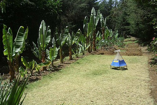 Missione Scientifico-Culturale ad Addis Abeba