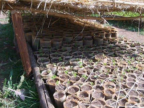 Missione Scientifico-Culturale ad Addis Abeba