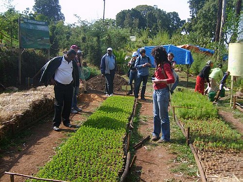 Missione Scientifico-Culturale ad Addis Abeba
