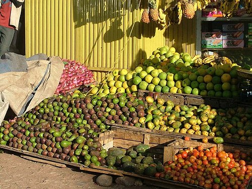 Missione Scientifico-Culturale ad Addis Abeba