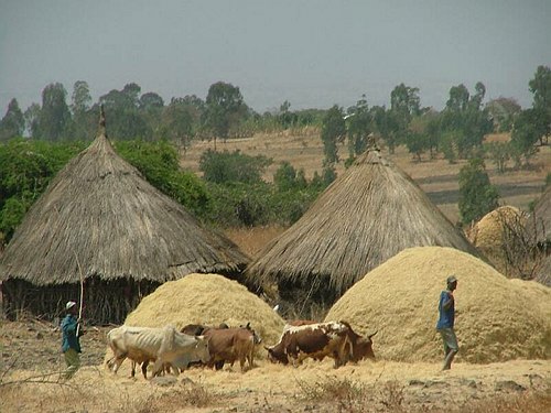 Missione Scientifico-Culturale ad Addis Abeba