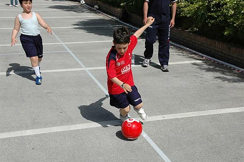 Universit� del Molise