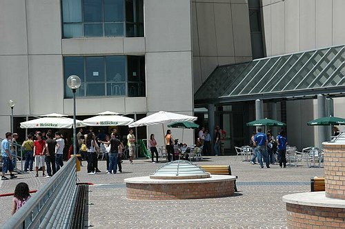 Universit� del Molise