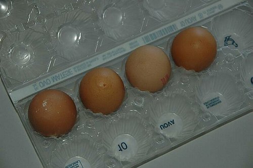 XVIII Settimana della Cultura Scientifica e Tecnologica