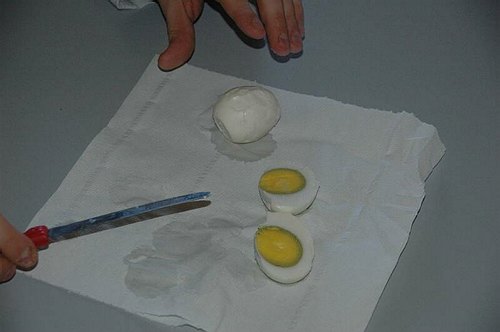 XVIII Settimana della Cultura Scientifica e Tecnologica